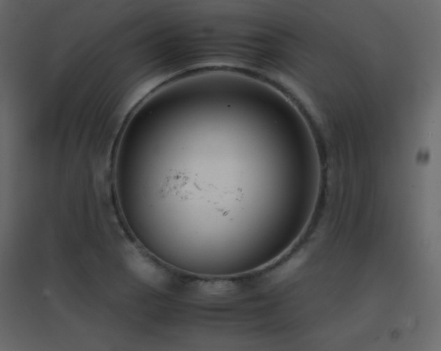 X0000096651129200802051148
