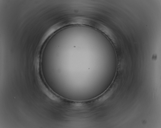 X0000096651130200802051148
