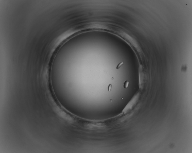 X0000096651133200802051148