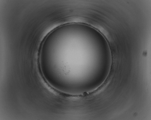 X0000096651134200802051148