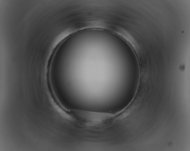 X0000096651135200802051148