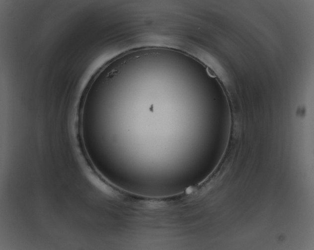X0000096651136200802051148