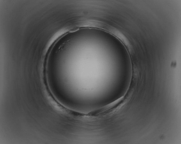 X0000096651138200802051148
