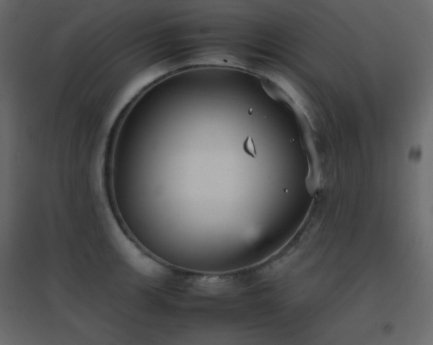 X0000096651139200802051148