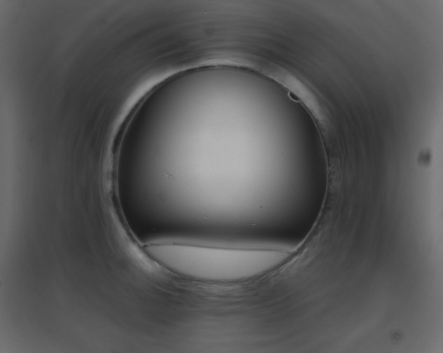 X0000096651140200802051148