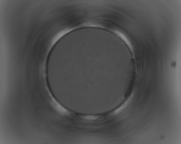 X0000096651141200802051148