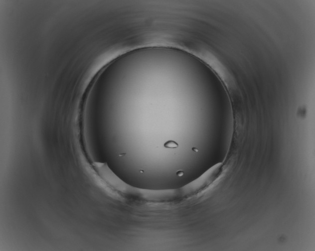 X0000096651142200802051148