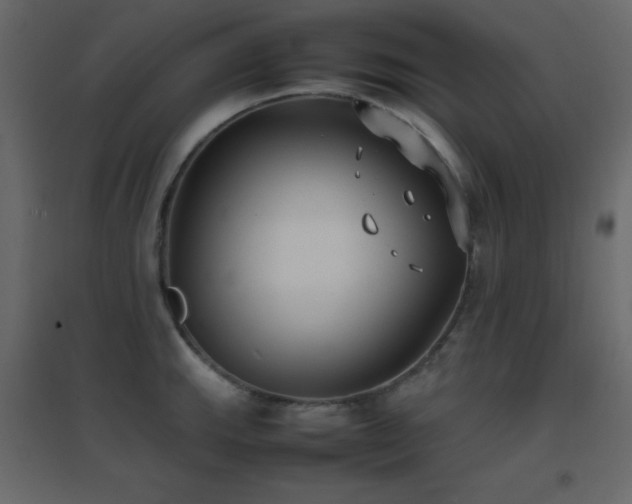 X0000096651143200802051148