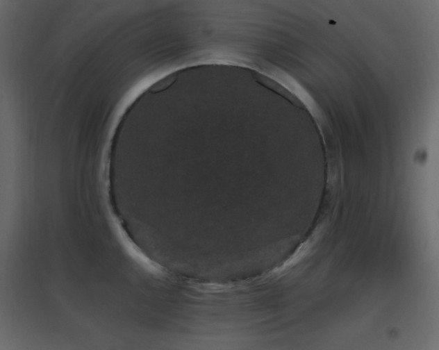 X0000096651144200802051148
