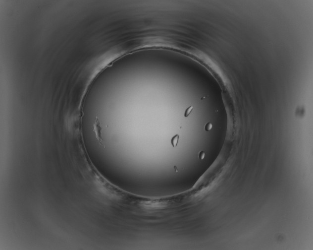 X0000096651145200802051148