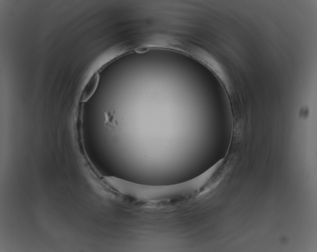X0000096651146200802051148