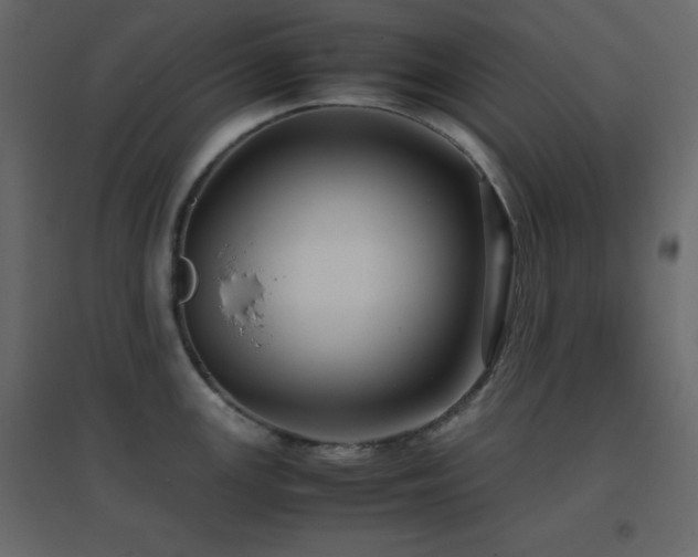 X0000096651147200802051148