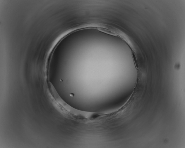 X0000096651148200802051148