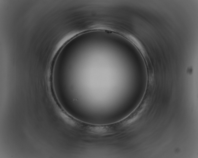 X0000096651149200802051148