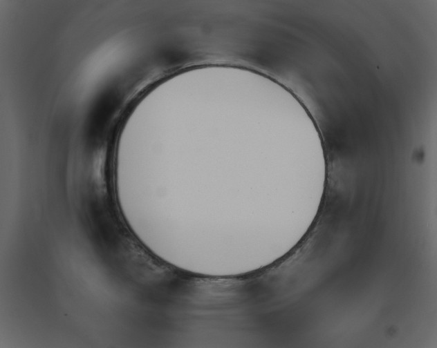 X0000096651150200802051148