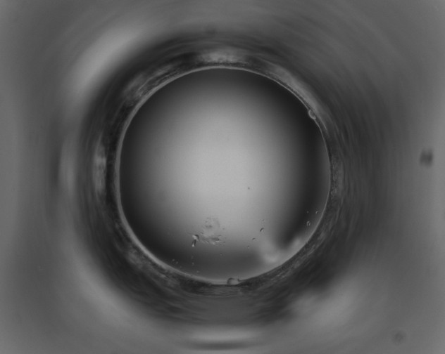 X0000096651151200802051148