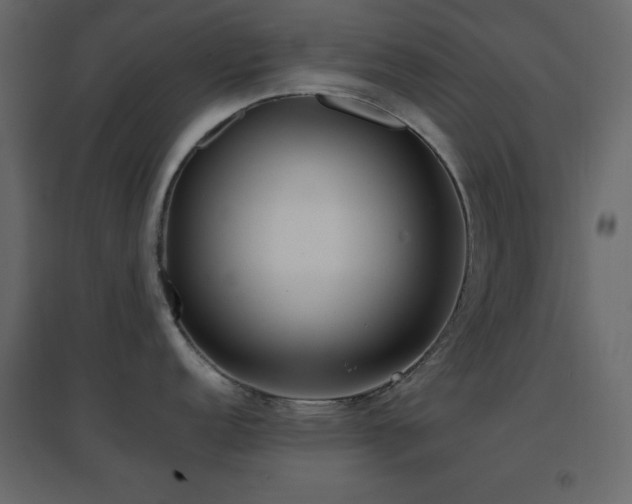 X0000096651152200802051149