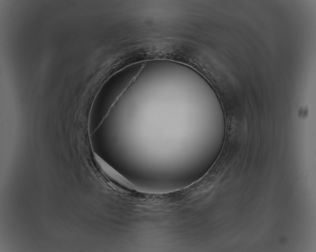 X0000096651153200802051148
