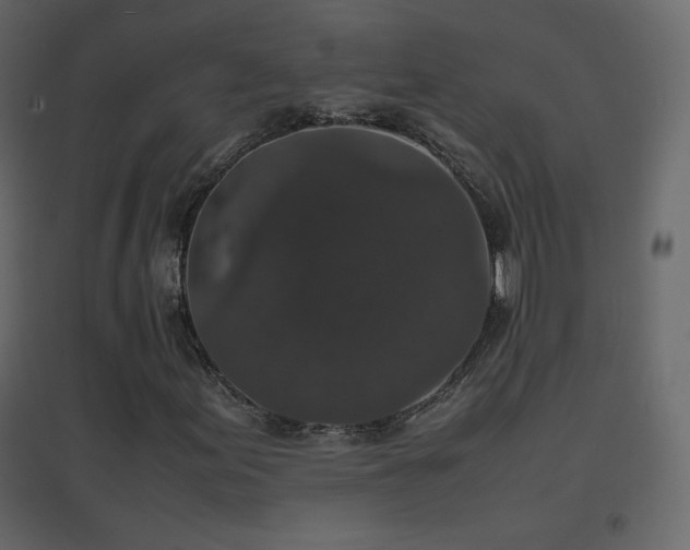 X0000096651155200802051148
