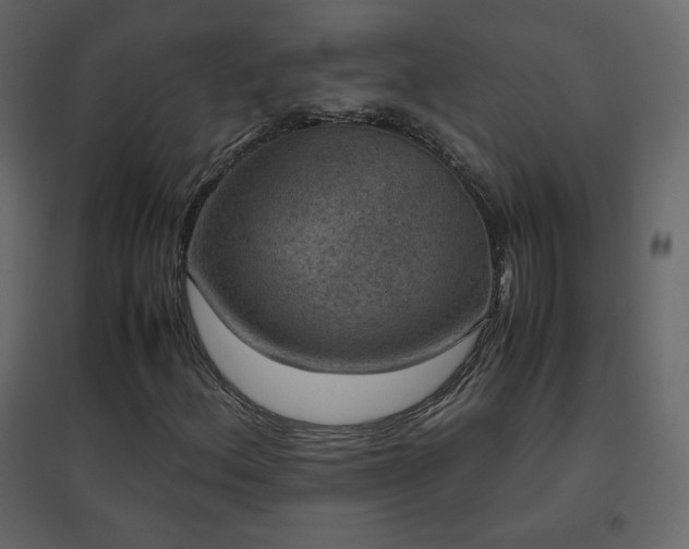 X0000096651156200802051148