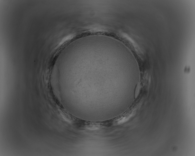 X0000096651157200802051148