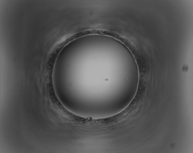 X0000096651159200802051148