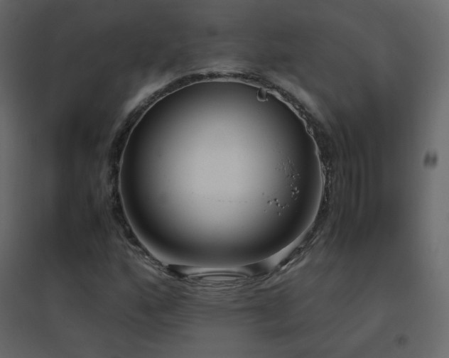 X0000096651160200802051148