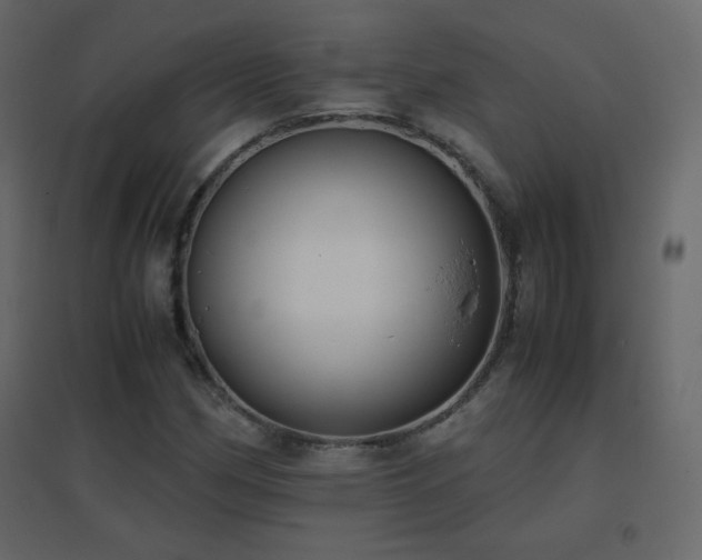 X0000096651162200802051148