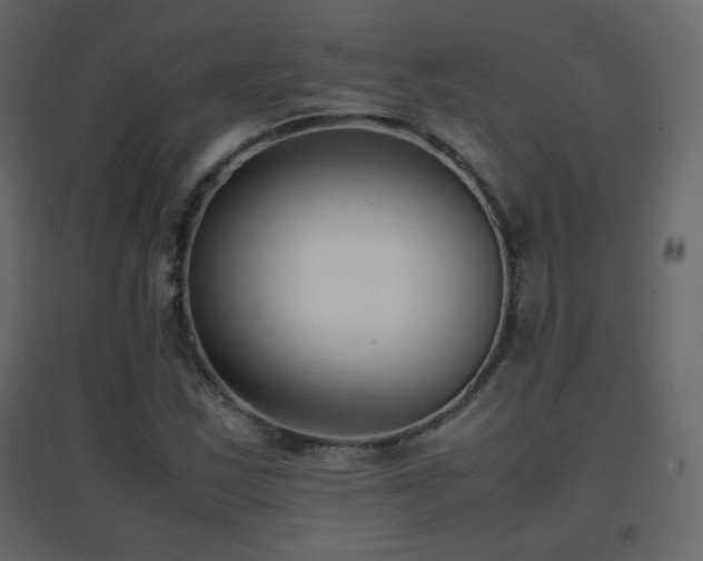 X0000096651163200802051148