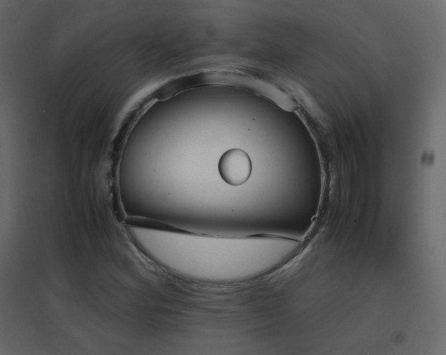 X0000096651164200802051148