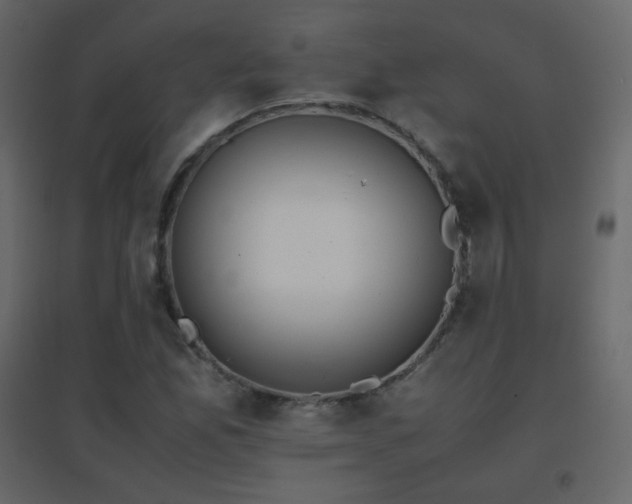 X0000096651165200802051148