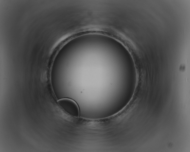 X0000096651166200802051148