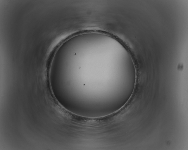 X0000096651167200802051148