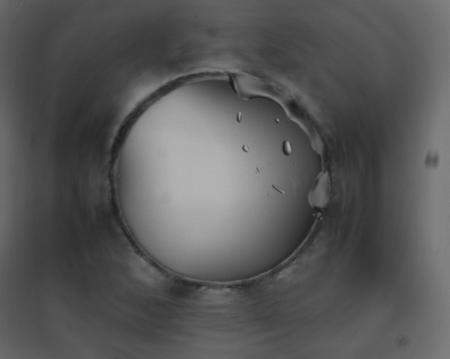 X0000096651168200802051148