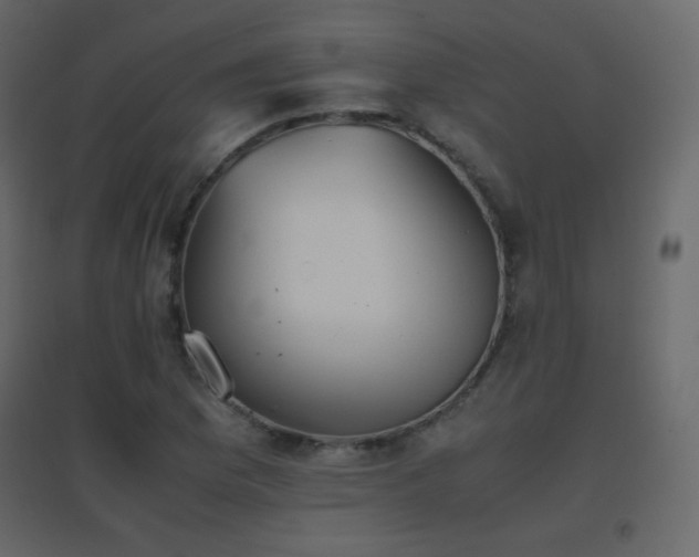 X0000096651169200802051148