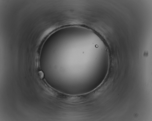 X0000096651171200802051148