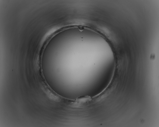 X0000096651172200802051148