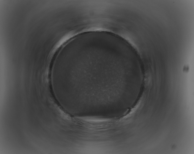 X0000096651173200802051148