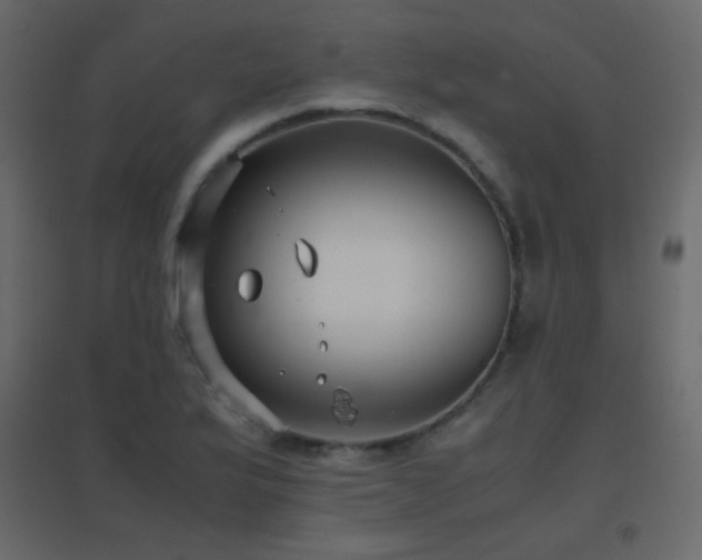 X0000096651175200802051148
