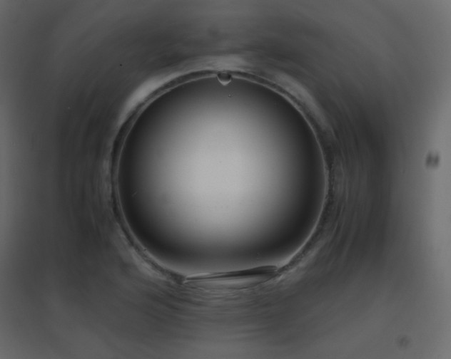 X0000096651176200802051148