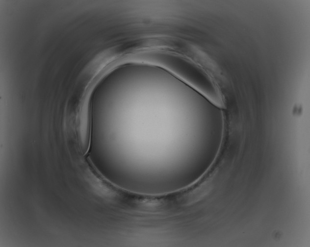 X0000096651177200802051148