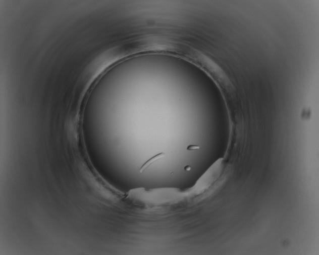 X0000096651178200802051147