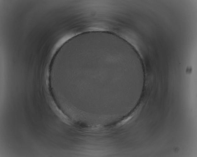 X0000096651179200802051147