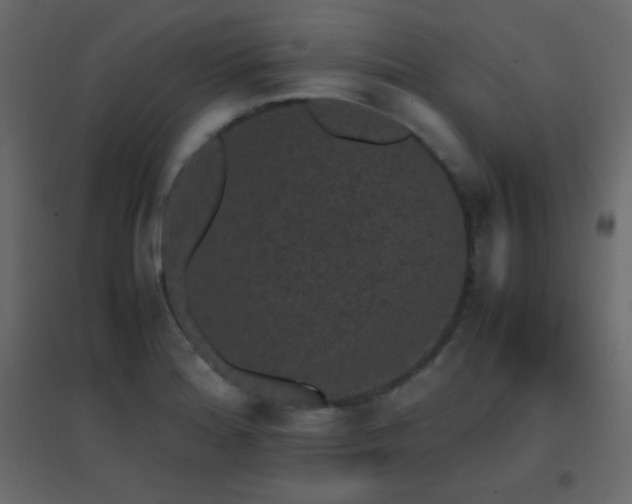 X0000096651180200802051147