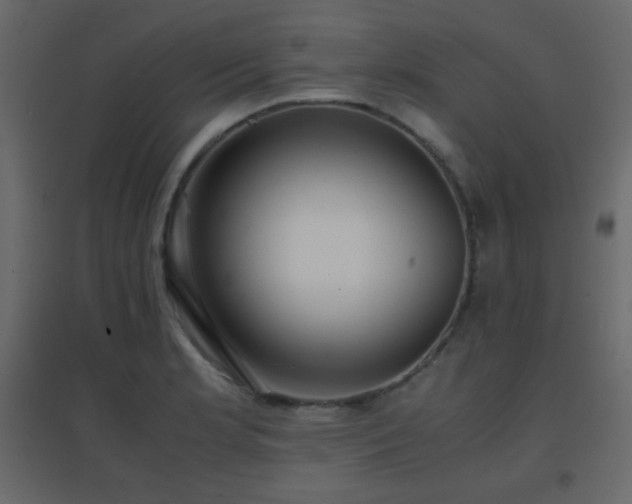 X0000096651181200802051147