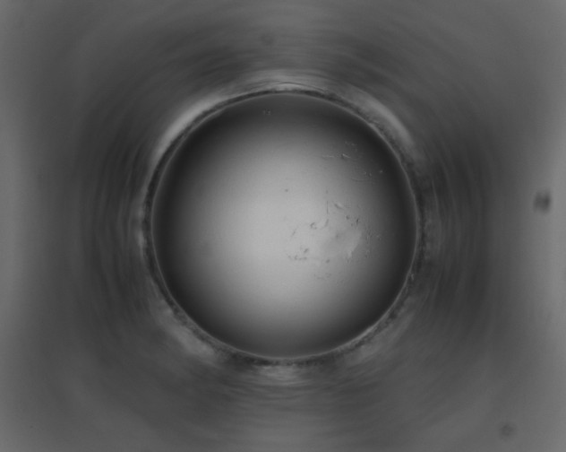 X0000096651182200802051147