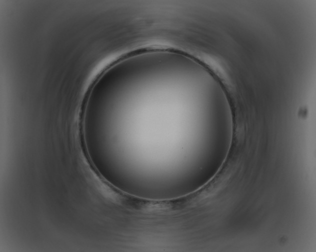 X0000096651183200802051147