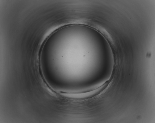X0000096651184200802051147