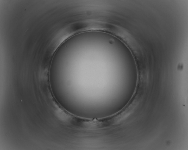 X0000096651185200802051147