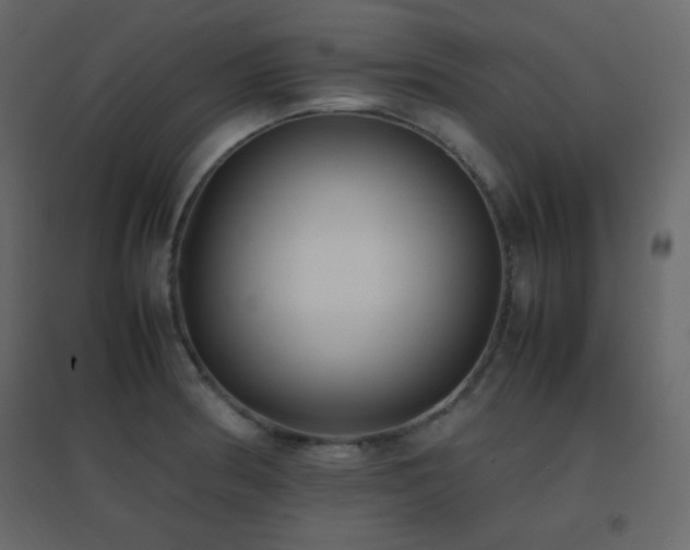 X0000096651186200802051147